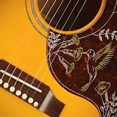 Gibson Hummingbird Body